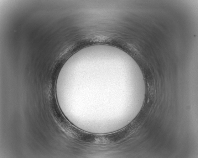 X0000064750591200602241839