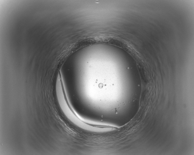 X0000064750593200602241839