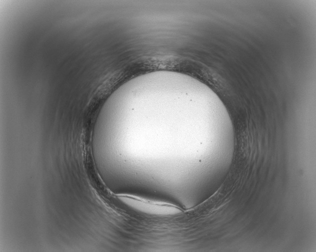 X0000064750594200602241839