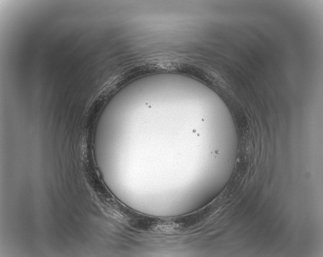 X0000064750595200602241839