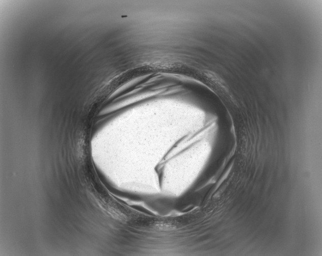 X0000064750596200602241839