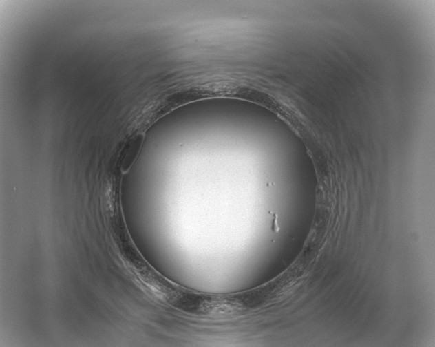 X0000064750597200602241839