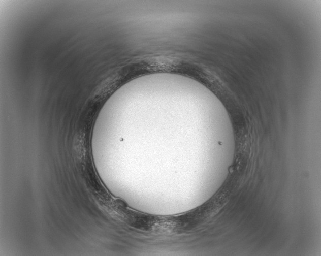 X0000064750599200602241839