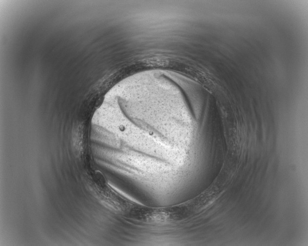 X0000064750600200602241839