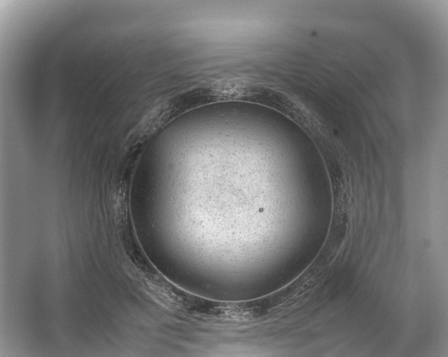 X0000064750601200602241839