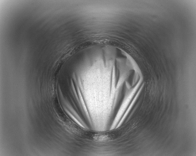 X0000064750602200602241839