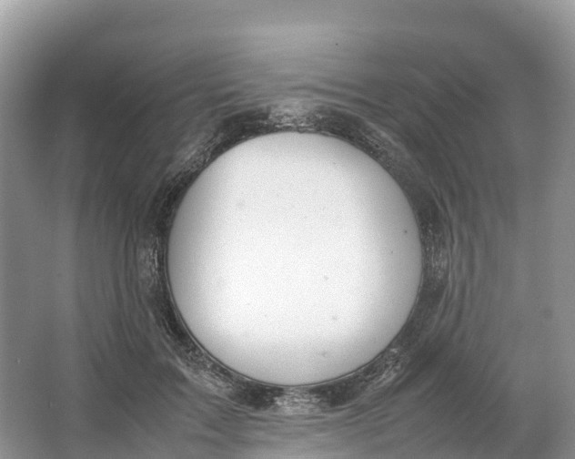 X0000064750603200602241839