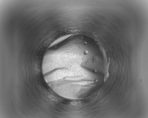 X0000064750606200602241839