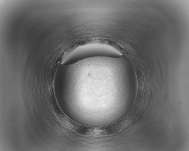 X0000064750607200602241839