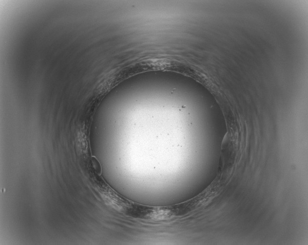 X0000064750609200602241839