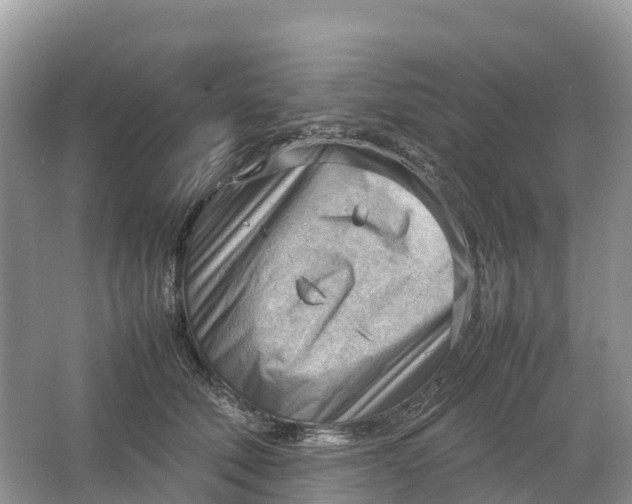 X0000064750610200602241839