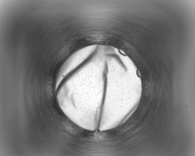 X0000064750612200602241838