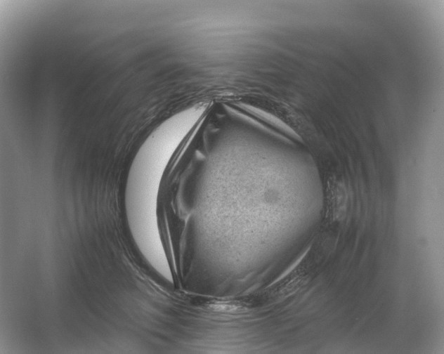 X0000064750614200602241838