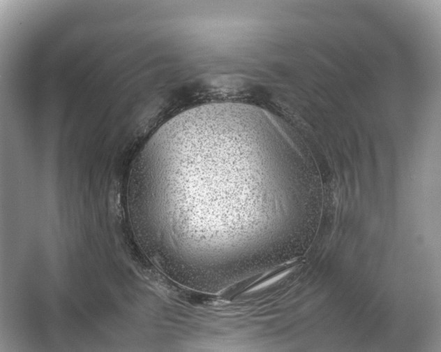 X0000064750615200602241838