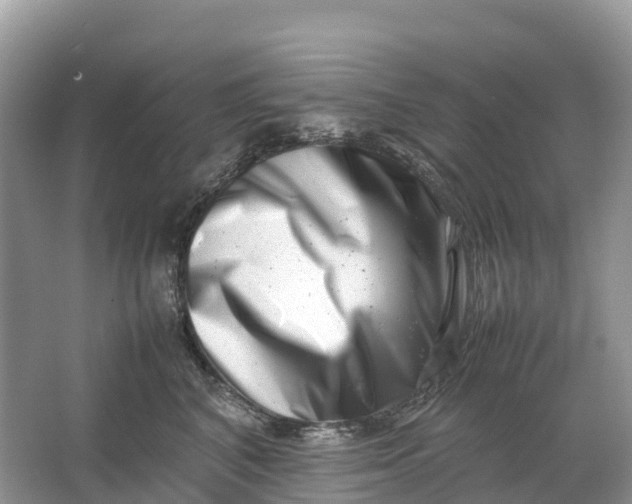 X0000064750616200602241838