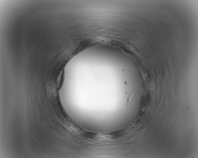 X0000064750617200602241838