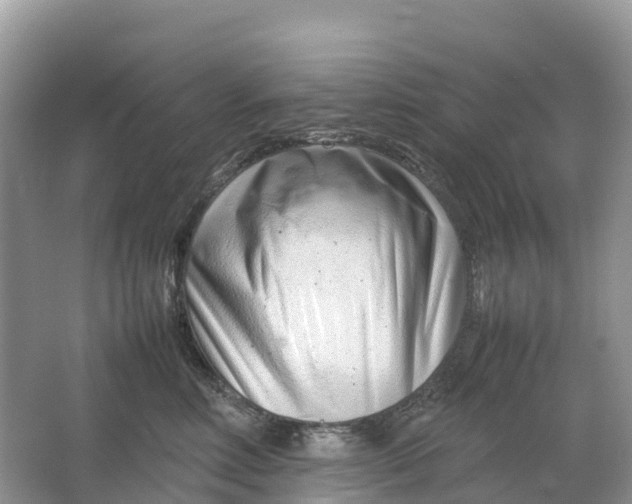 X0000064750618200602241838