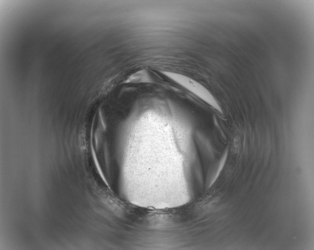 X0000064750620200602241838