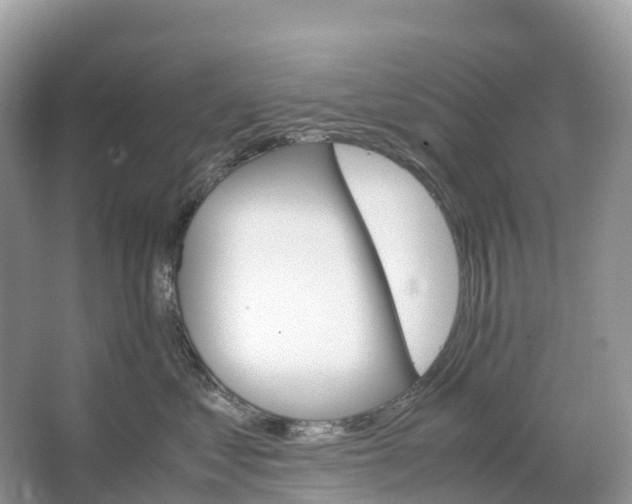 X0000064750621200602241838