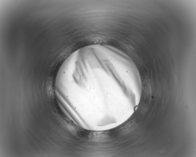 X0000064750622200602241838