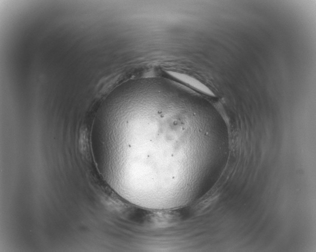 X0000064750623200602241838