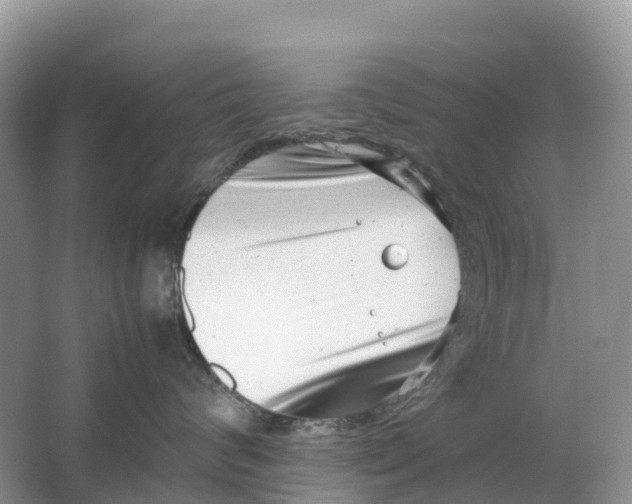 X0000064750624200602241838