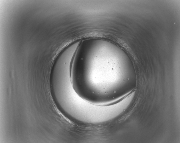 X0000064750625200602241837