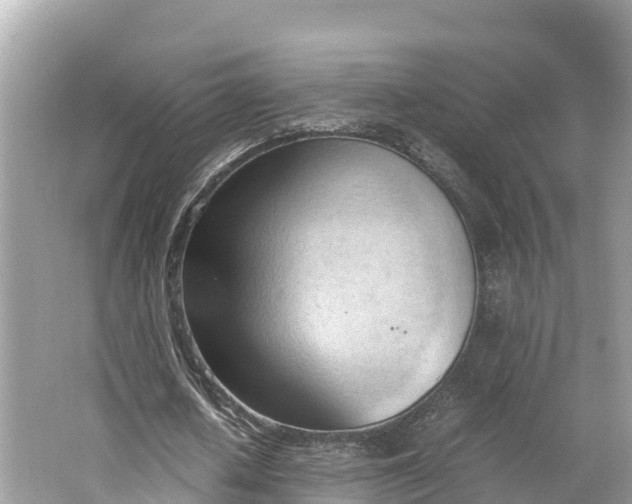 X0000064750626200602241837