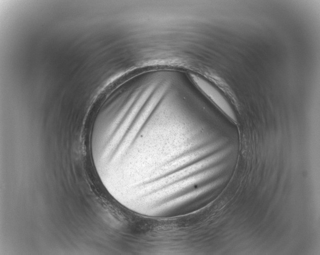 X0000064750628200602241837