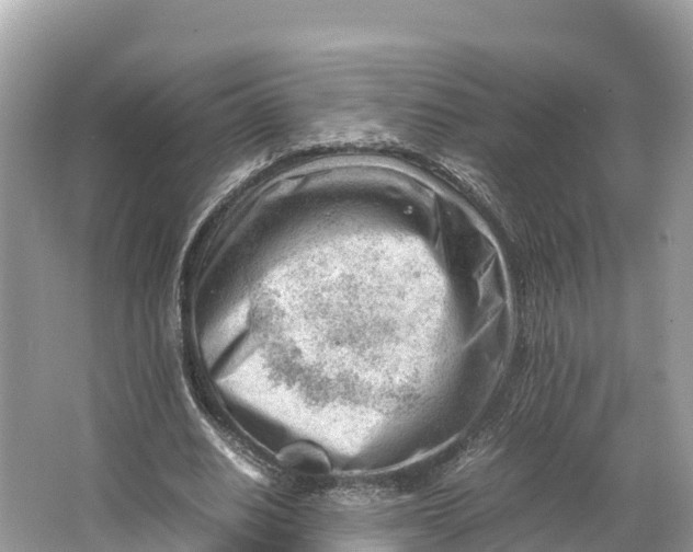 X0000064750630200602241837