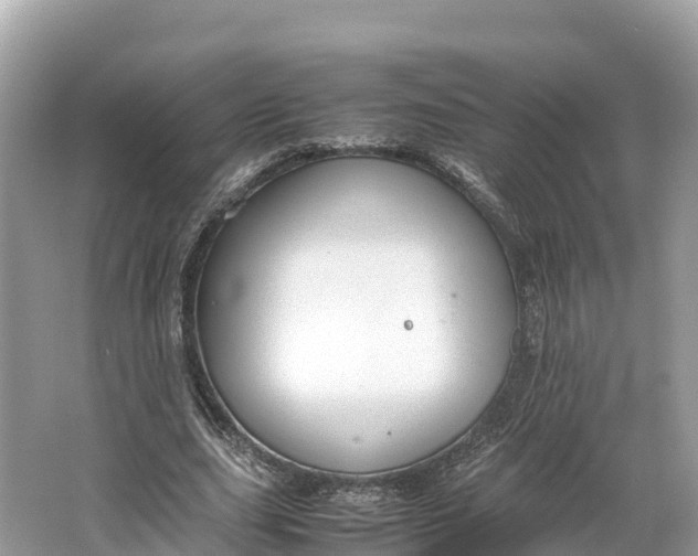 X0000064750631200602241837