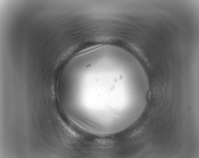 X0000064750633200602241837