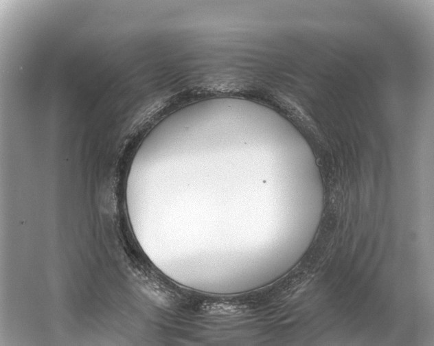 X0000064750635200602241837