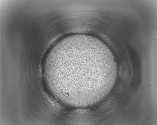 X0000064750636200602241837