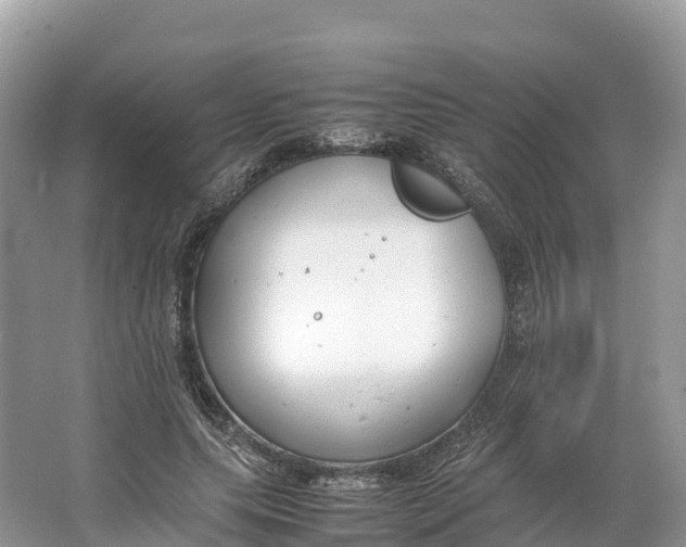 X0000064750639200602241837