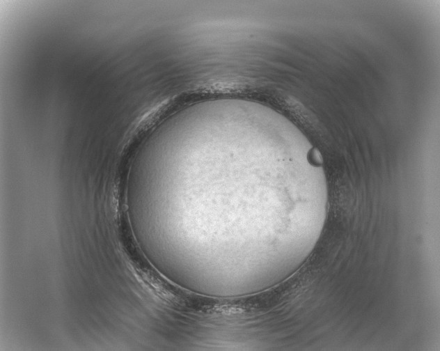 X0000064750640200602241837