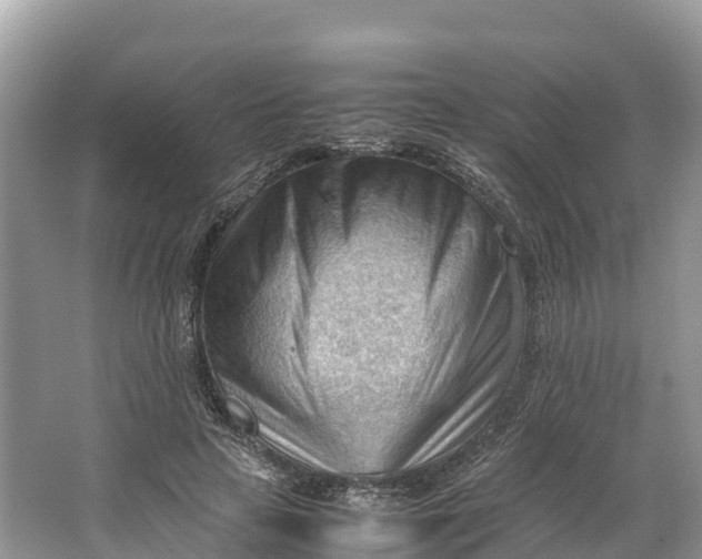 X0000064750641200602241837