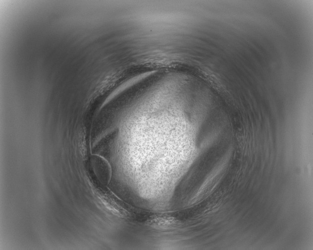 X0000064750642200602241837