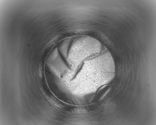 X0000064750644200602241837