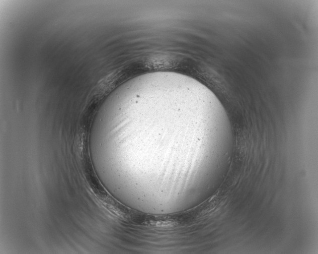 X0000064750645200602241837