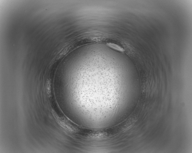 X0000064750646200602241838