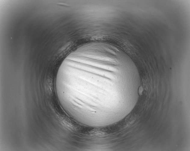 X0000064750648200602241838