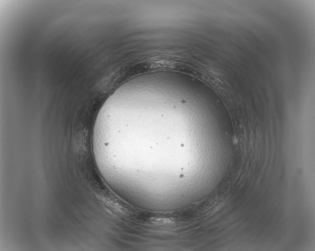 X0000064750649200602241838