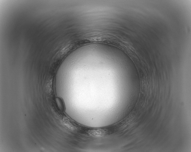 X0000064750652200602241838