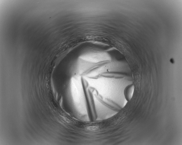 X0000064750653200602241838