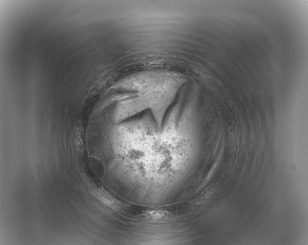 X0000064750654200602241838