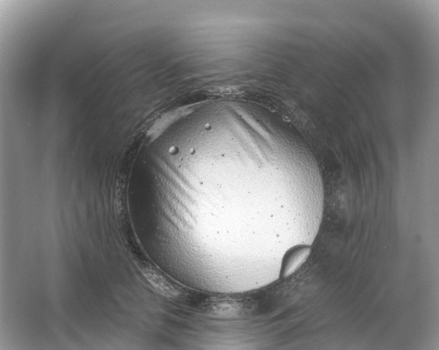 X0000064750658200602241838