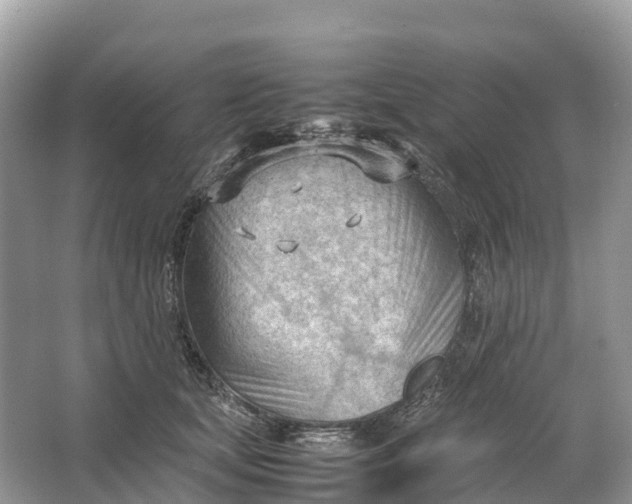 X0000064750659200602241838