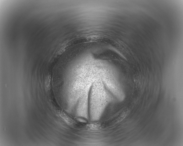 X0000064750660200602241838