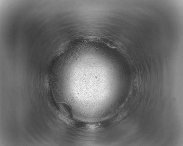 X0000064750662200602241838